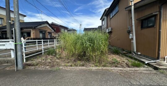 B8-393 - 外観